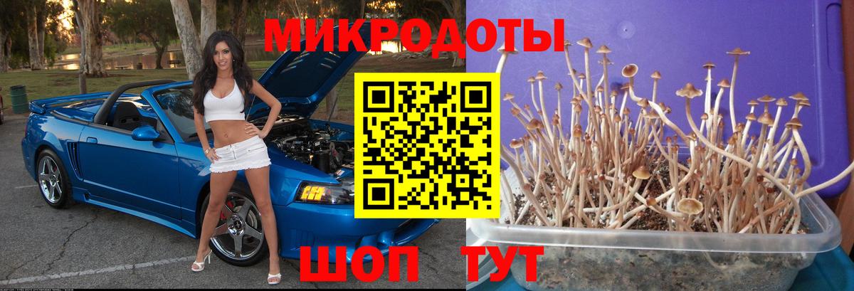 Белгород  Галлюциногенные грибы GOLDEN TEACHER  Вход с VPN 